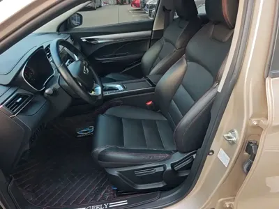 Geely Binrui