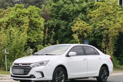 BYD Qin New Energy