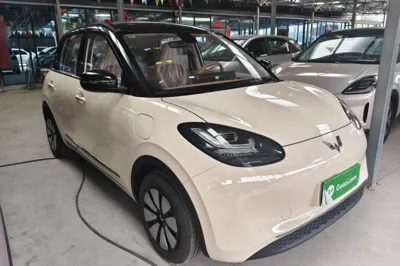 Wuling Bingo