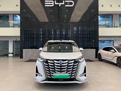 Denza Denza D9