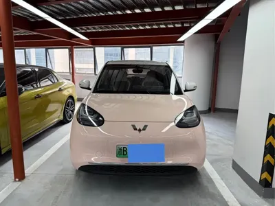 Wuling Bingo