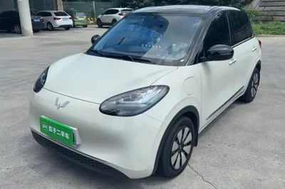 Wuling Bingo