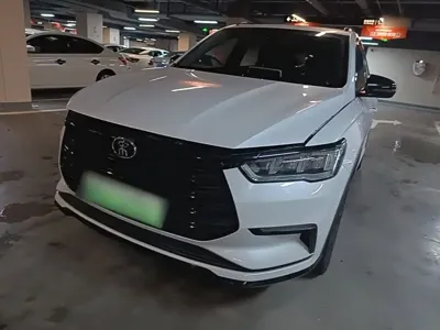 BYD Pro New Energy