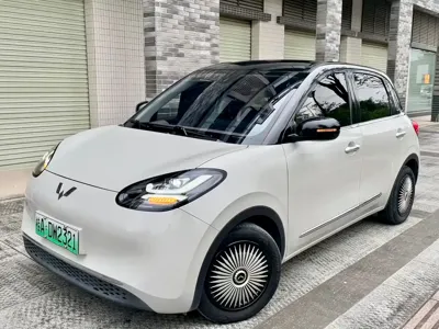 Wuling Bingo