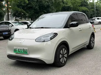 Wuling Bingo