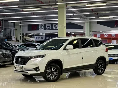 Fengxing Fengxing T5