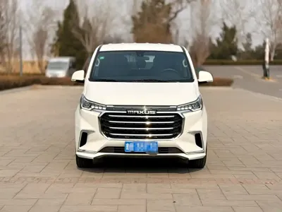 大通 G20
