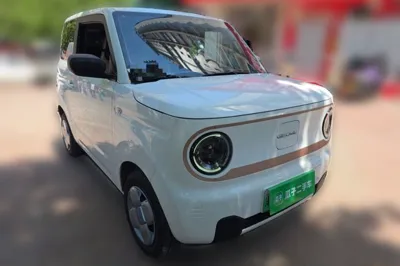 Geely Galaxy Panda
