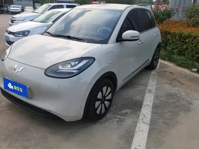 Wuling Bingo
