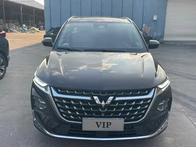Wuling Victory