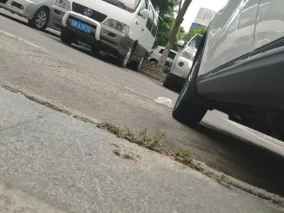 NETA Neta V