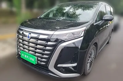 Denza D9