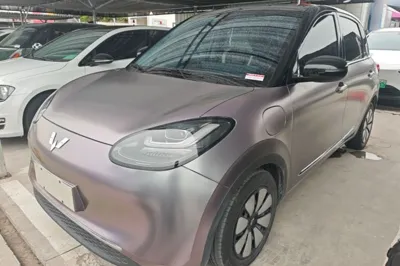 Wuling Bingo