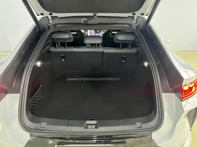 BYD L EV