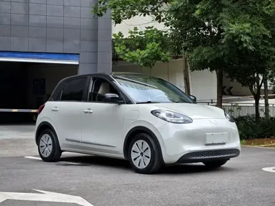 Wuling Bingo