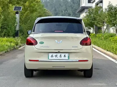 Wuling Bingo