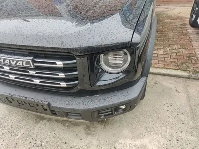 Haval Big Dog