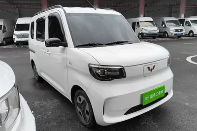 Wuling Zhiguang New Energy