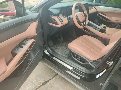 BYD L EV