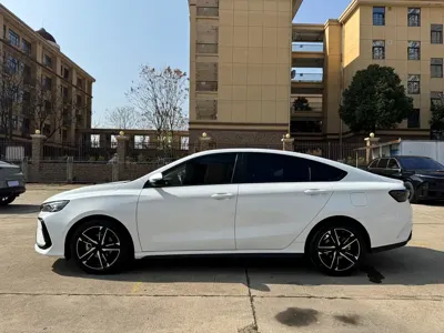 Geely Binrui