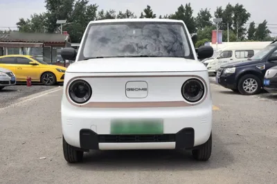 Geely Galaxy Panda