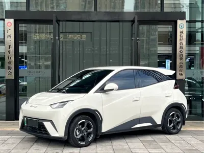 BYD Seagull