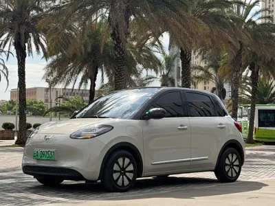 Wuling Bingo