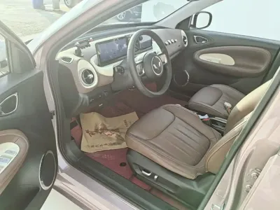 Wuling Bingo