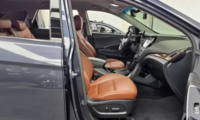 Hyundai Maxcruz
