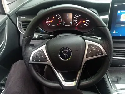 BYD MAX
