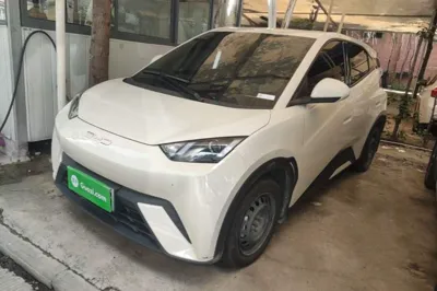 BYD Seagull
