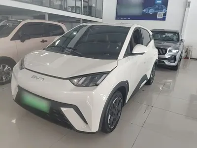 BYD Seagull