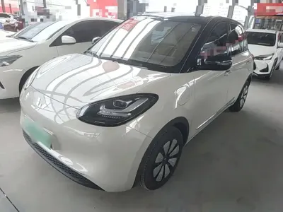 Wuling Bingo