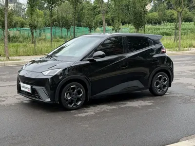 BYD Seagull