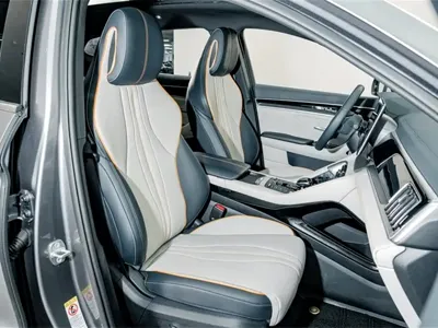 BYD PLUS New Energy