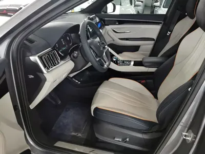 BYD PLUS New Energy