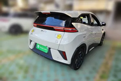 BYD Seagull