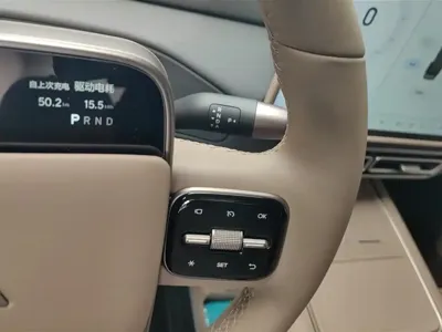 Li Auto Li MEGA