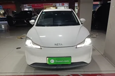 NETA V