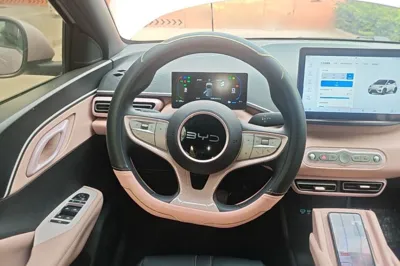 BYD Seagull