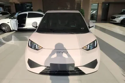 BYD Seagull