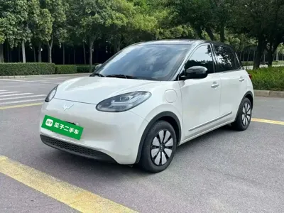 Wuling Bingo