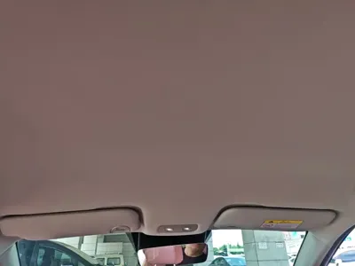 NETA Neta V