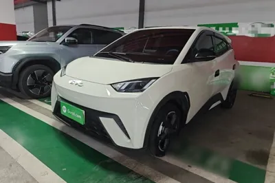 BYD Seagull
