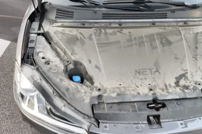 NETA V