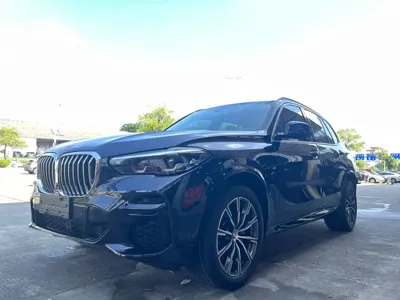 BMW X5 (Import)