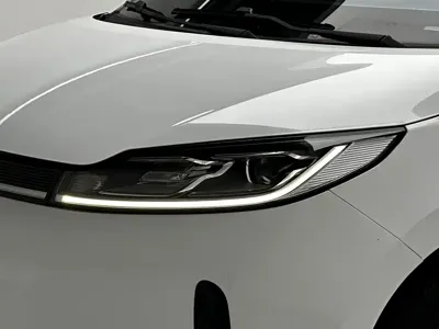 BYD D1