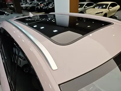 BYD PLUS New Energy