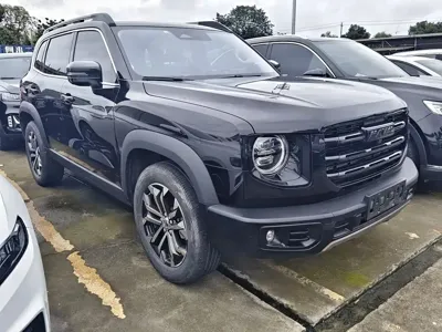Haval Big Dog