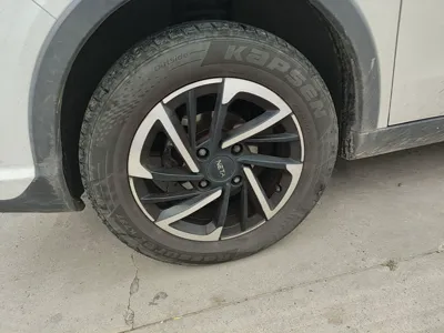 NETA V